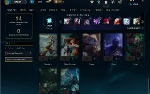 Ferro 4 com 30 Champs e 5 Skins