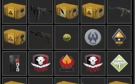 CSGO PRIME BROCHES