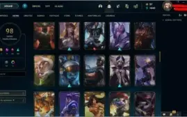 CONTA MMR D1