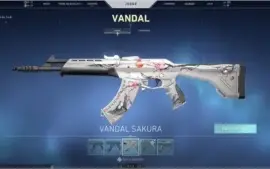 CONTA DE VALORANT skins brabas