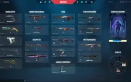 Valorant, Platina 2, 66 Skins, pacote do caos e saqueador