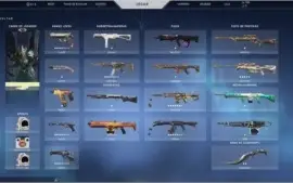 Conta Valorant + LOL ( 2.000 reais gastos no total)