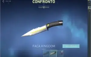 Conta de valorant muitas SKiNs e facas!