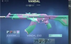 Conta de valorant muitas SKiNs e facas!