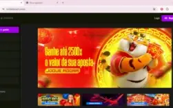 cassino completo com ao vivo instalado