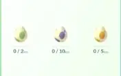 Conta Pokemon GO iniciante
