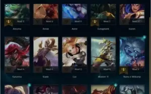 conta lol level 30 unranked