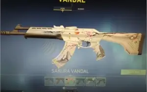Conta + R$550 em SKINS