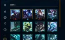 Conta Lol C/ 53 skins Lv110