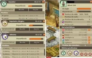 Conta dofus retro monoconta (boon) 3 magus FULL FARM