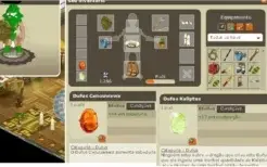 Conta dofus retro monoconta (boon) 3 magus FULL FARM