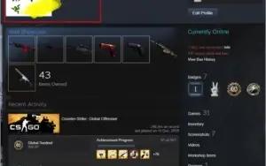 CONTA STEAM pubg gta v f1