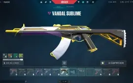 Conta de Valorant Platina