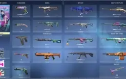 Conta de lol + valorant 500+ skins