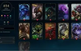 LoL(424Skins) Valorant(115Skins)