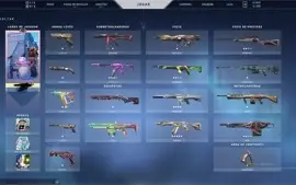 Conta valorant Prata , Mt Skin, skin de todas as armas!!!