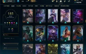 Unranked com TODOS os champs e 185 Skins ( ADC / SUP )