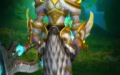 Conta WoW com Transmogs RAROS