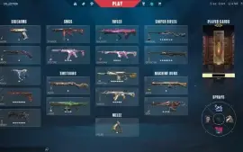 Full Acesso - Conta Valorant Diamante 3 Com 4700 Vp + Skins