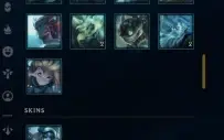Conta League of Legends Full Acesso - 163 Champs e 135 Skins