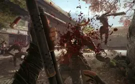 Xbox Shadow Warrior 2 #C49050