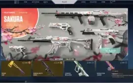 Conta Valorant SKINS + 14K VP