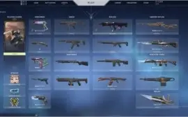 Conta Valorant SKINS + 14K VP