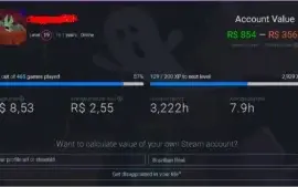Conta Steam Super rara 16 Anos 700 jogos