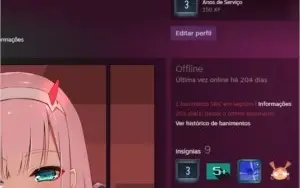 conta steam lvl 11 (csgo com vac ban)