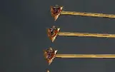 6 armaduras  116+ placa
