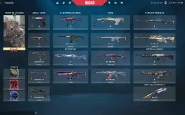 Valorant conta ASC (4 passes completos) + Skins + VPs + RPs