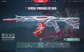 Valorant conta ASC (4 passes completos) + Skins + VPs + RPs