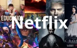 2 telas Netflix premium