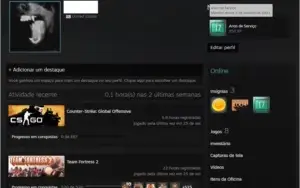 CONTA STEAM 17 / 18 ANOS DE SERVIÇO