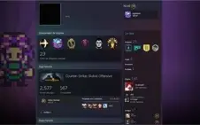 CONTA CSGO PRIME 3K DE HORAS + 5 ANOS DE SERVIÇO