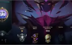 Conta dos Deuses LOLZINHO PRATA 1 LVL 117