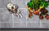 ED 197-FEROBRA-DRUID FULL ADDON + ITENS +RK