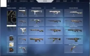 Conta platina 2, algumas skins, tres facas e conta beta