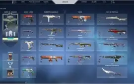 Valorant conta beta varias skins antigas!
