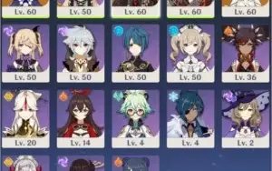 AR 36 - Diluc + Childe + Qiqi + Xingqiu