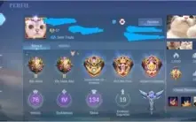 Conta de mobile legends, Hero do chou +133 skins