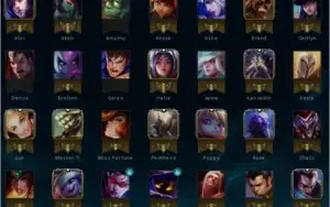 CONTA LOL D4 - 48V 14D (77,4%)