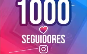SEGUIDORES BARATO
