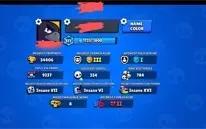 55/56 Brawlers | 47 Skins | 34K troféus