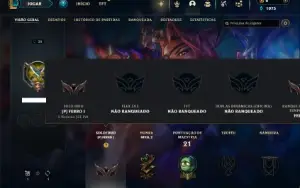 Ferro 1 com 30 Champs e 4 Skins + 2 Fragmentos