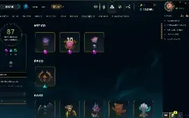 CONTA RIOT - Skins raras, muitas bordas, MMR Mestre