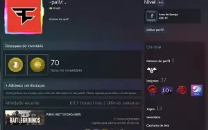 Conta Steam Lvl 65 Medalhas Cs2 + Eafc 24 + Cod Mwii