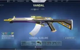 conta de valorant (900 reais gastos) + conta do lol