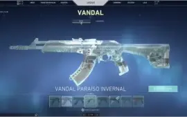 conta de valorant (900 reais gastos) + conta do lol