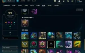 Conta 2014 League of Legends, skins variadas, barata